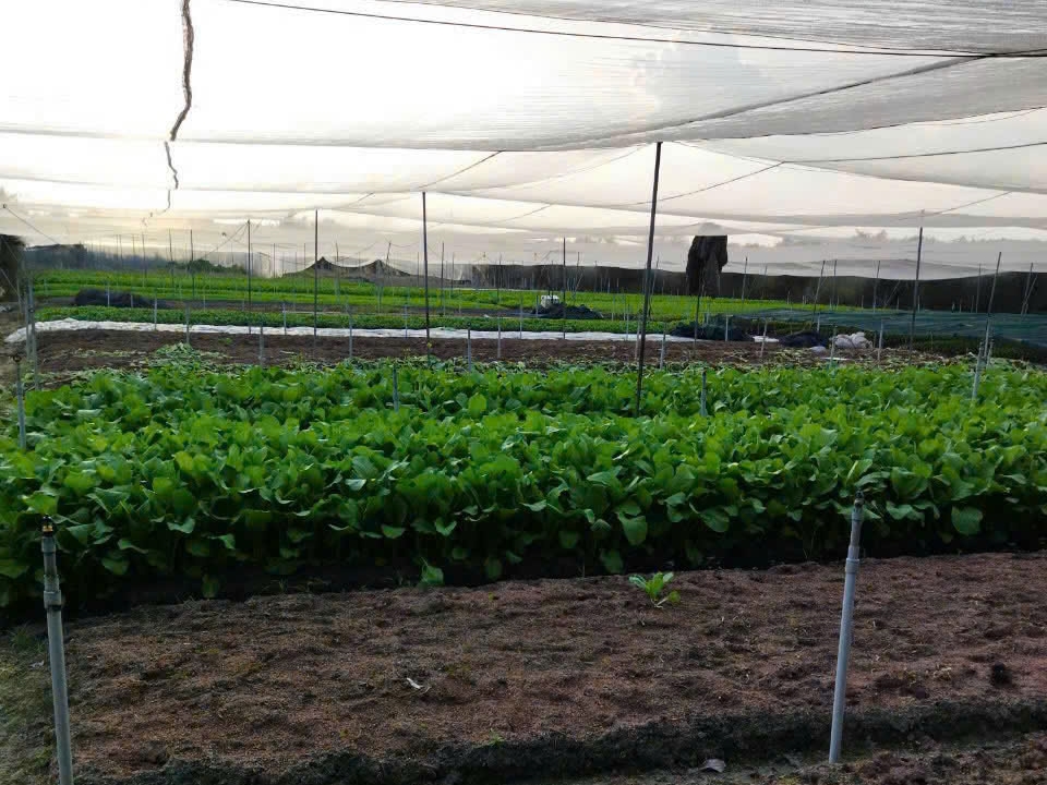 CÔNG TY TNHH THỰC PHẨM HAPPY FARM
